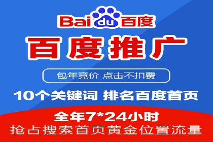 顶级SEM运营公司案例分析
